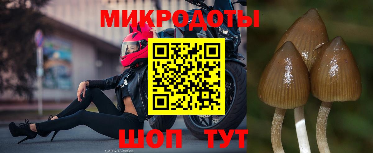 Первоуральск  Псилоцибиновые грибы мицелий  Вход с VPN 