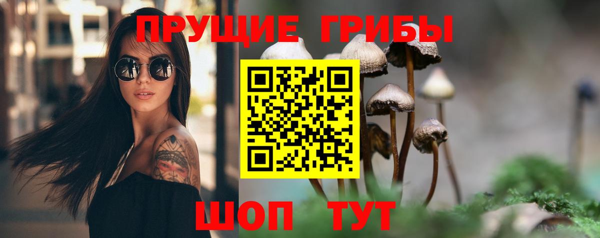 Галлюциногенные грибы Psilocybine cubensis Первоуральск